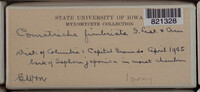 Image Associated With the Occurence